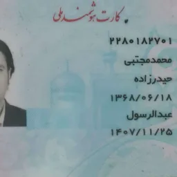 تصویر محمد مجتبی حیدرزاده